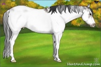 Horse Color:Brown Ice Sabino Frame