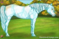 Horse Color:Thunderstruck Silver Amber Champagne Dun Splash Frame 