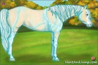 Horse Color:Thunderstruck Silver Amber Champagne Roan Dun Splash 
