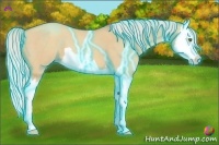 Horse Color:Thunderstruck Silver Classic Champagne Dun Splash 