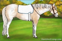 Horse Color:White Spotted Silver Bay Pearl 