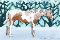 Horse Color:Silver Bay Sabino Tobiano