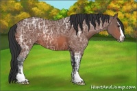 Horse Color:Bay Ice Sabino 