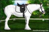 Horse Color:Liver Chestnut Sabino Splash