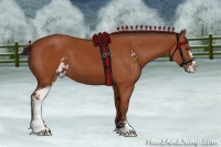Horse Color:Bay Sabino 