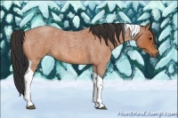 Horse Color:Bay Roan Tobiano