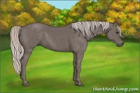 Horse Color:Silver Black 
