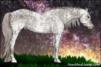 Horse Color:Silver Black Ice  and Silver Black Ice 