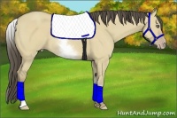 Horse Color:White Spotted Classic Cream Champagne Dun 