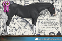 Horse Color:Silver Black Chinchilla Splash 