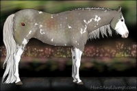 Horse Color:White Spotted Silver Smoky Black Splash 