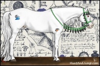 Horse Color:Silver Black Chinchilla Appaloosa 