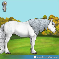 Horse Color:Watercolor White Spotted Silver Blue Onyx Chinchilla Ice Roan Splash 