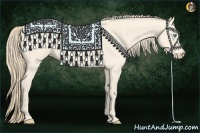 Horse Color:Perlino 