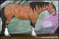 Horse Color:Bay Ice 