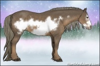 Horse Color:Liver Chestnut Frame 