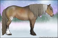 Horse Color:White Spotted Liver Chestnut 