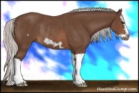 Horse Color:Silver Brown Splash Frame Rabicano 