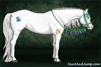 Horse Color:Silver Black Chinchilla Splash Appaloosa 