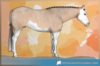 Horse Color:Bay Roan Dun Splash 