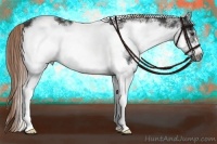 Horse Color:White Spotted Liver Chestnut Frame 