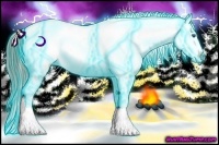 Horse Color:Thunderstruck Liver Red Dun Splash Appaloosa 