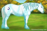 Horse Color:Thunderstruck Gold Champagne Dun Splash Appaloosa  Brindle