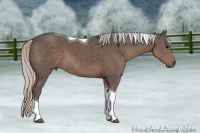 Horse Color:Silver Black Tobiano 