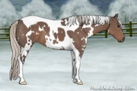 Horse Color:White Spotted Silver Black Tobiano 