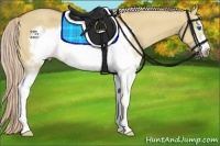 Horse Color:White Spotted Palomino Dun Sabino Frame