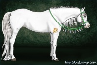 Horse Color:Silver Blue Roan Splash Appaloosa 