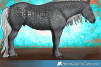 Horse Color:Silver Black Chinchilla 