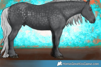 Horse Color:Silver Black Chinchilla