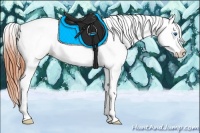 Horse Color:Bay Splash Tobiano Appaloosa Brindle