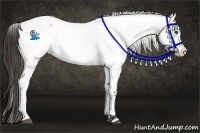 Horse Color:Brown Fewspot 
