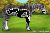 Horse Color:Liver Chestnut Ice Sabino Frame 