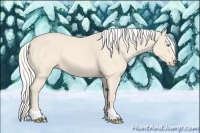 Horse Color:Silver Perlino