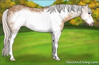 Horse Color:White Spotted Silver Brown Dun Frame 