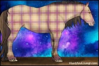 Horse Color:Plaid  Amber Champagne 