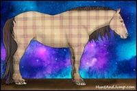 Horse Color:Plaid Amber Champagne Rabicano