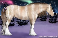 Horse Color:Bay Ice Pearl Rabicano 
