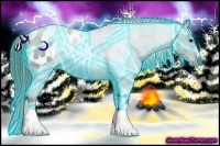 Horse Color:Thunderstruck Black Appaloosa 