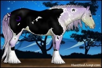 Horse Color:Watercolor Brown Appaloosa 