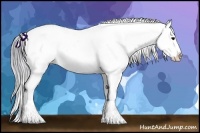 Horse Color:Watercolor Buckskin Appaloosa 