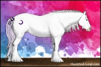 Horse Color:Watercolor Chocolate Palomino Pearl Sabino Appaloosa Rabicano