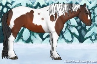Horse Color:Bay Tobiano 