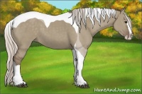 Horse Color:Silver Grullo Splash Tobiano 