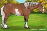 Horse Color:White Spotted Silver Bay Splash 