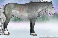 Horse Color:Silver Black Chinchilla Sabino