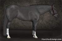 Horse Color:Smoky Black 